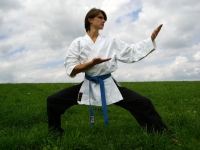 Taekwondo