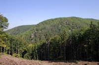 keltske-oppidum-zavist.jpg