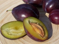 Švestky