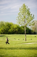 Walking