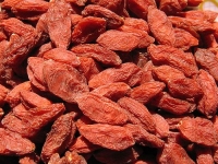 Ovoce Goji