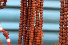 Rudraksha