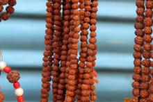 Rudraksha